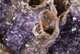 Wide, Purple Amethyst Crystal Cluster On Wood Base - Uruguay #101462-3
